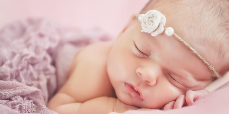 Créditos: Reprodução/Freepik