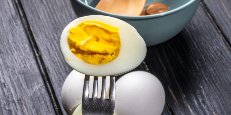 Créditos: Reprodução/Freepik