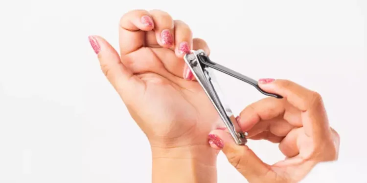 Créditos: Reprodução/ Freepik