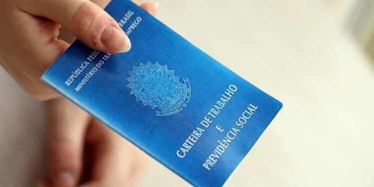 Créditos: Shutterstock