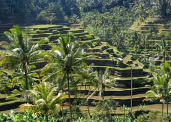 ilha bali