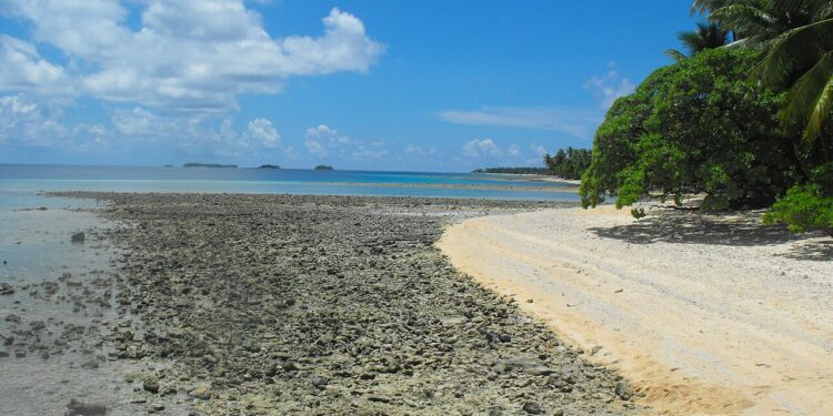 Créditos: Reprodução/Wikimedia Commons