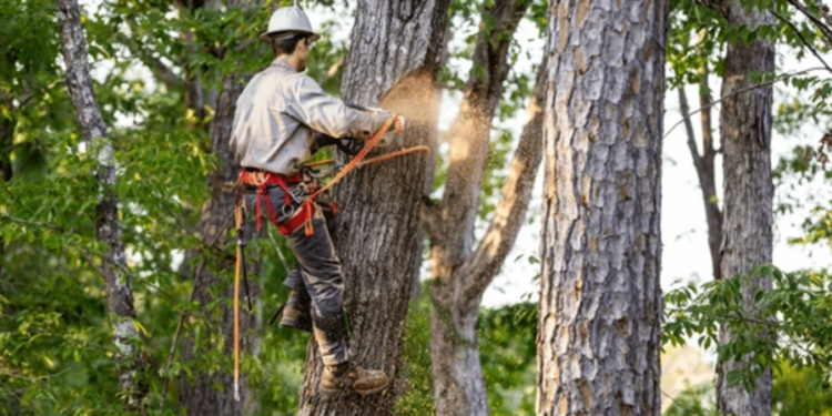 Créditos: Shutterstock