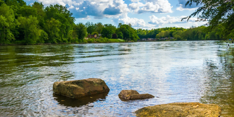 Créditos: Shutterstock