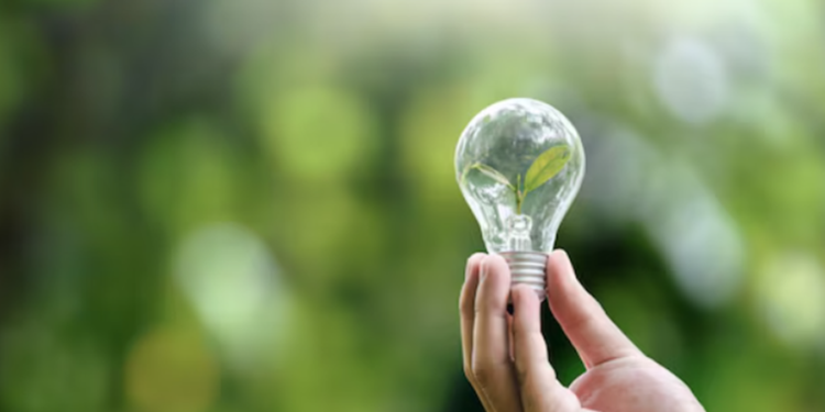 Créditos: Shutterstock