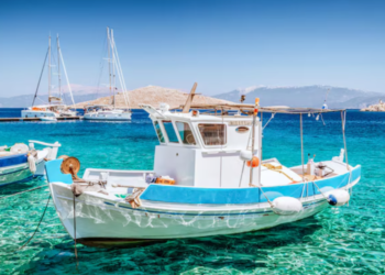 Créditos: Shutterstock