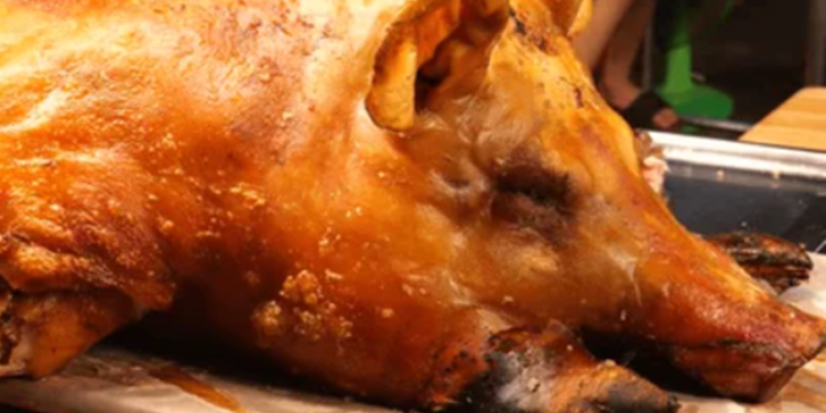 Créditos: Shutterstock