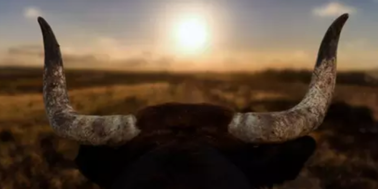 Créditos: Shutterstock