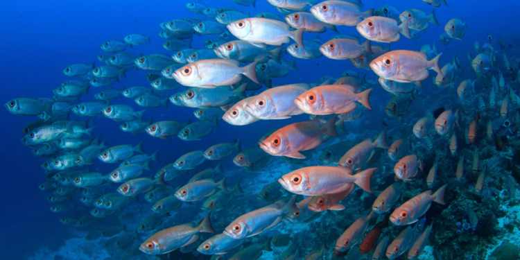 Créditos: Shutterstock