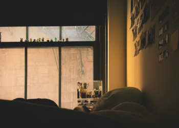 Créditos: Unsplash