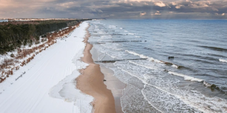 Créditos: Shutterstock