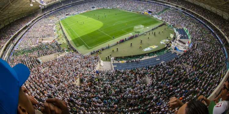 Créditos: Divulgação/ Palmeiras