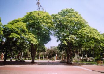 Créditos: Reprodução/Wikimedia Commons