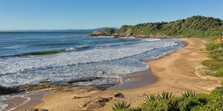 Créditos: Reprodução/Wikimedia Commons