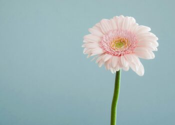 flor