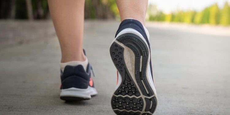 Créditos: Shutterstock