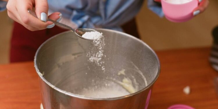 Créditos: Shutterstock