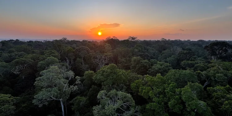 Amazônia