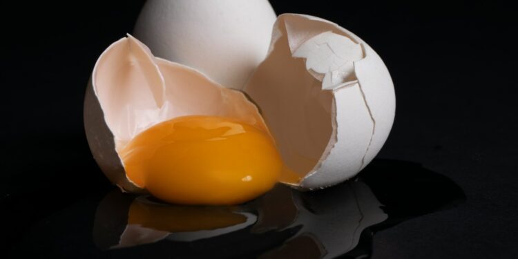 Créditos: Freepik/Jasmin Egger