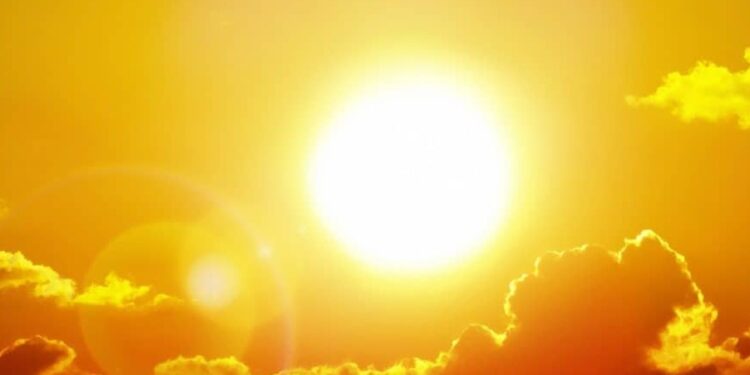 Créditos: Shutterstock