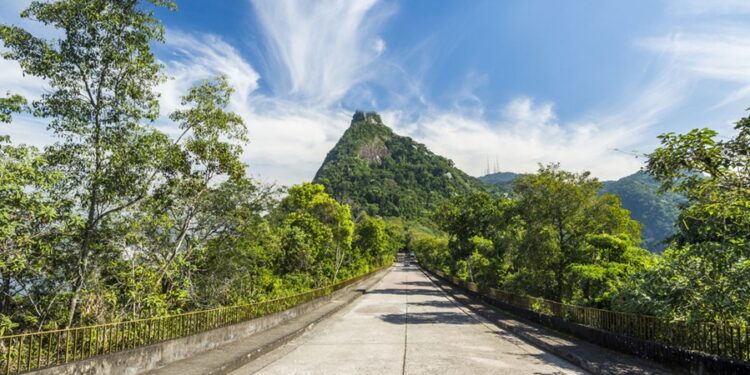 Créditos: Shutterstock