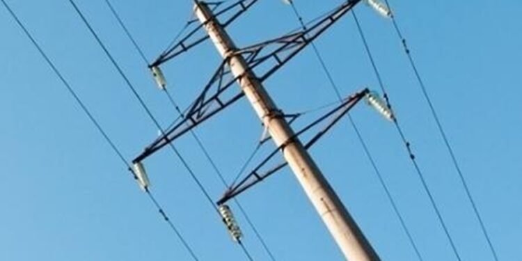 Créditos: Shutterstock