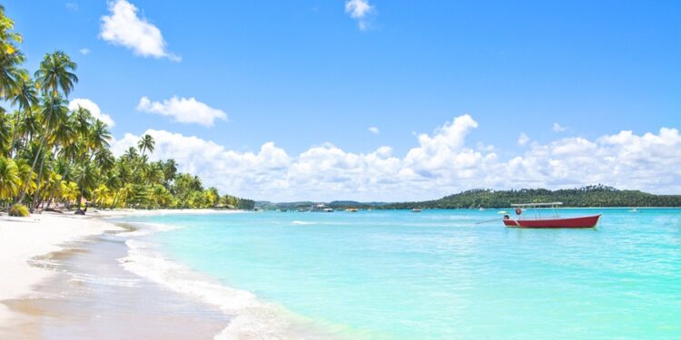 Créditos: Shutterstock