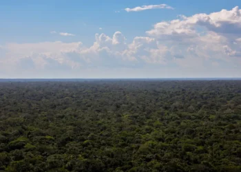 Amazônia