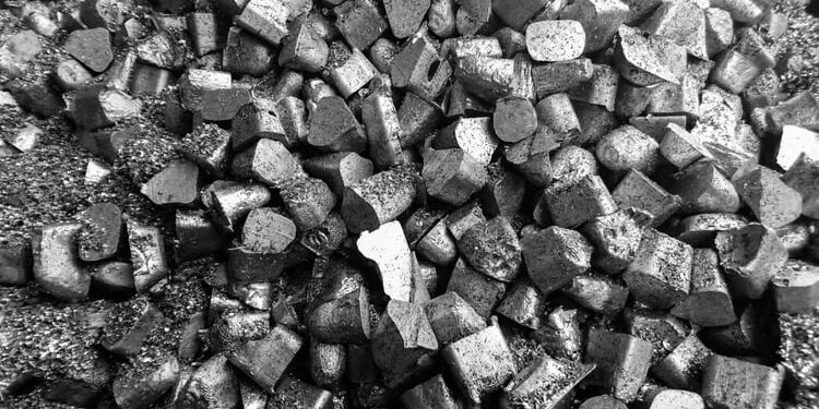 Créditos: Shutterstock