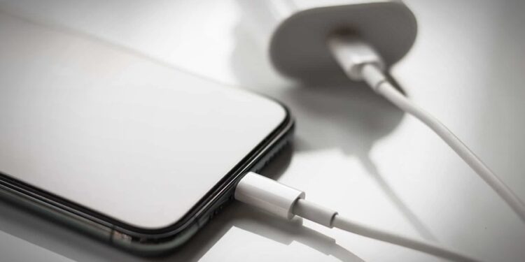 Créditos: Shutterstock