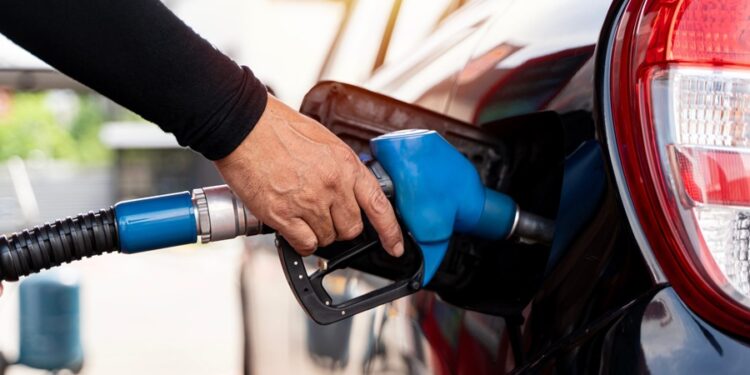 Créditos: Shutterstock