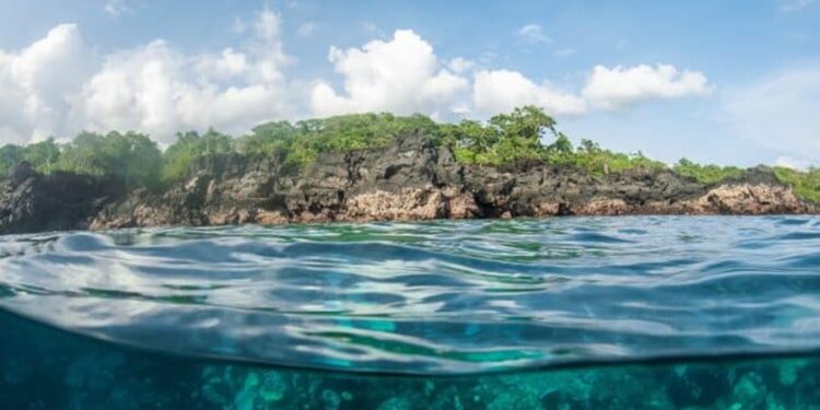 Créditos: Shutterstock