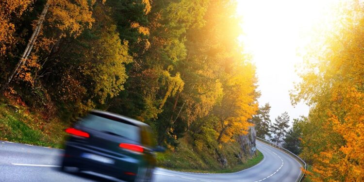 Créditos: Shutterstock