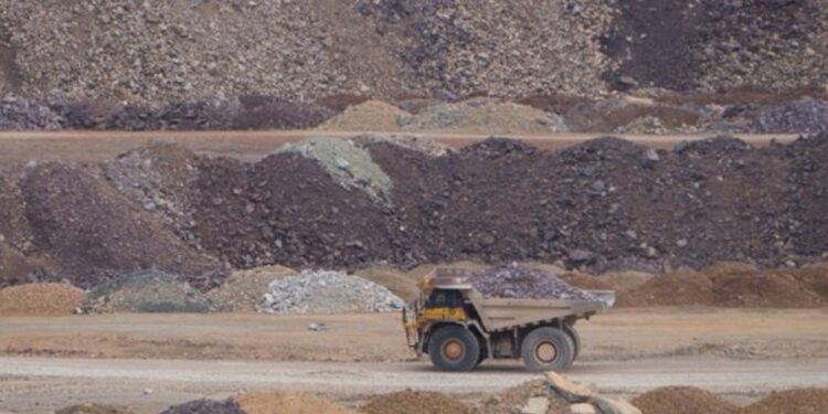 Créditos: Shutterstock