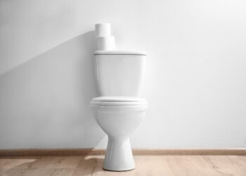 Créditos: Shutterstock