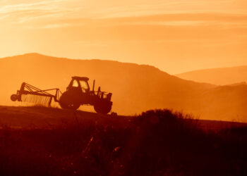 Créditos: Freepik/Sergiorojoes