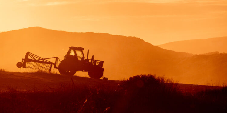 Créditos: Freepik/Sergiorojoes