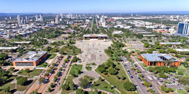 Palmas