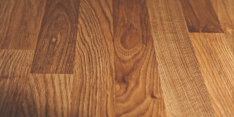 Créditos: Freepik/Derich