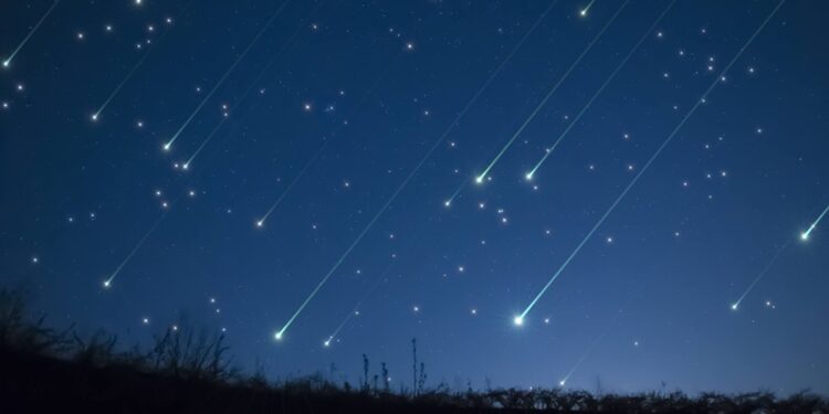 Créditos: Shutterstock