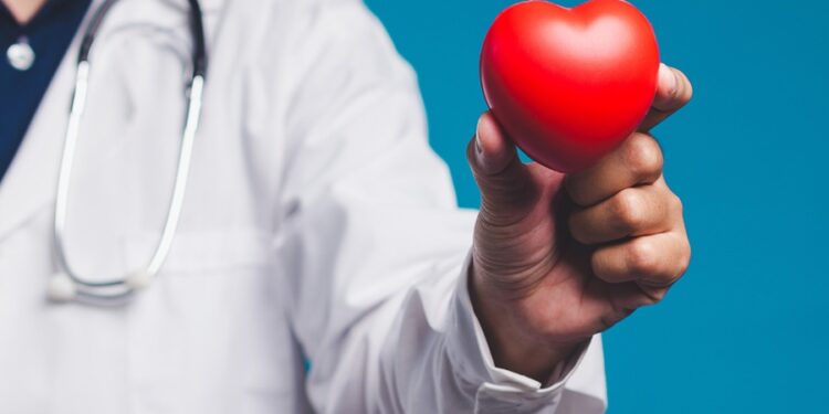 Créditos: Shutterstock