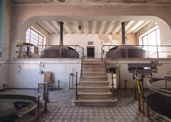 Créditos: Divulgação/Neozoik Foundation