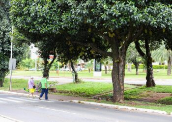 Créditos: Matheus H Souza/Agência Brasília