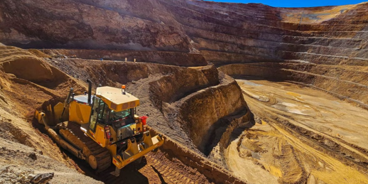 Créditos: Shutterstock