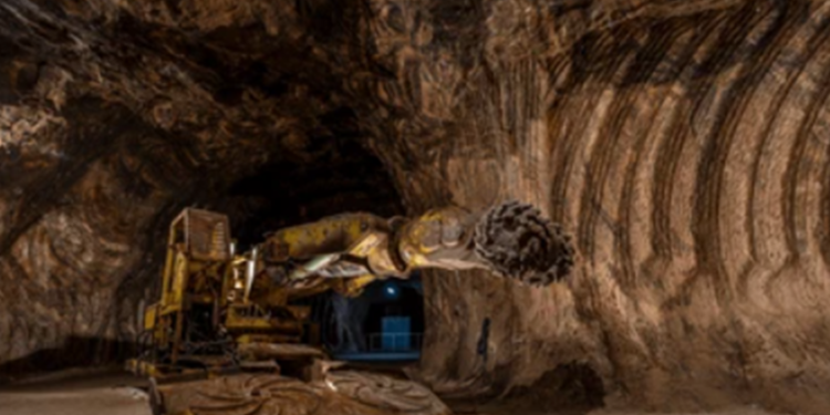 Créditos: Shutterstock