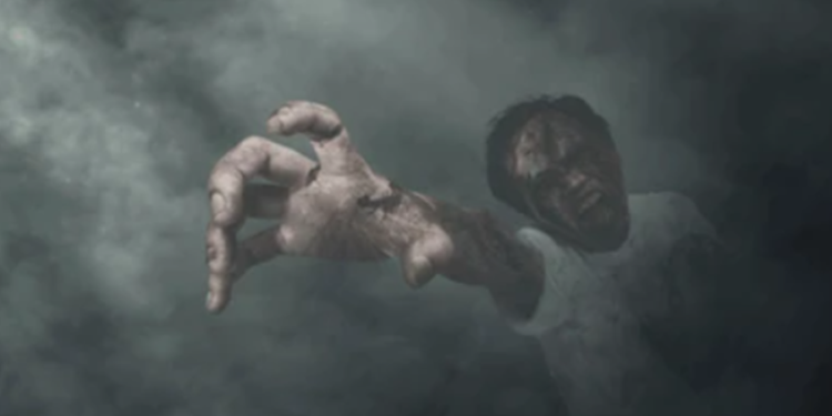 Créditos: Shutterstock