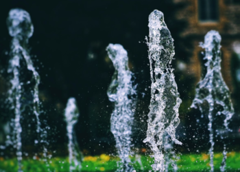 Créditos: Unsplash