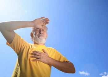 Créditos: Shutterstock