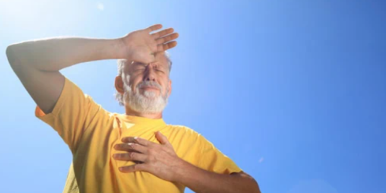 Créditos: Shutterstock