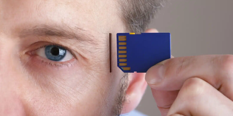 Créditos: Shutterstock